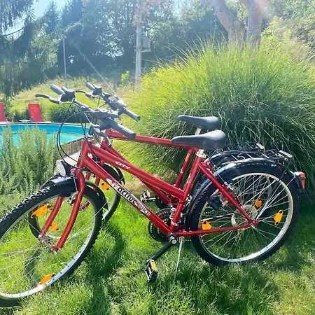 Ground Floor With A Pool And Terrace Pesnica pri Mariboru